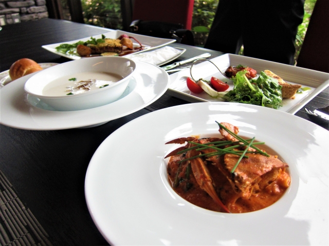 評判なフォルスクラブとペットロボット