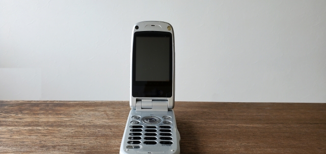 ねずみ講とは違うフォルスクラブは大家族でも安く利用できる