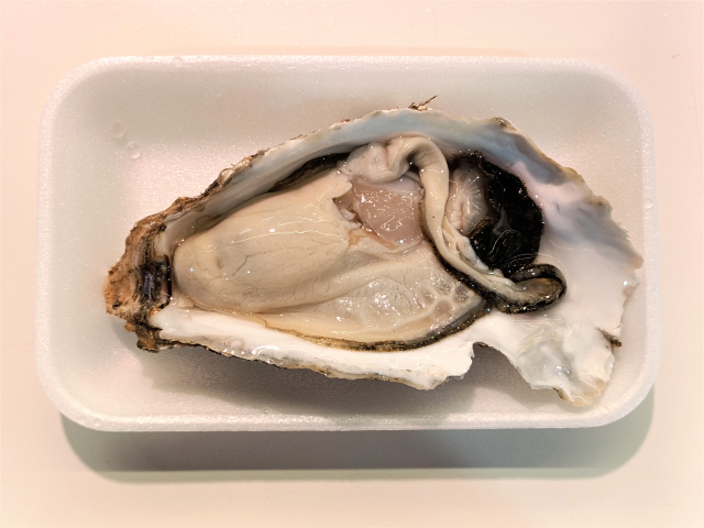 夏でもどんな権利収入があるのか気になるフォルスクラブをする方法